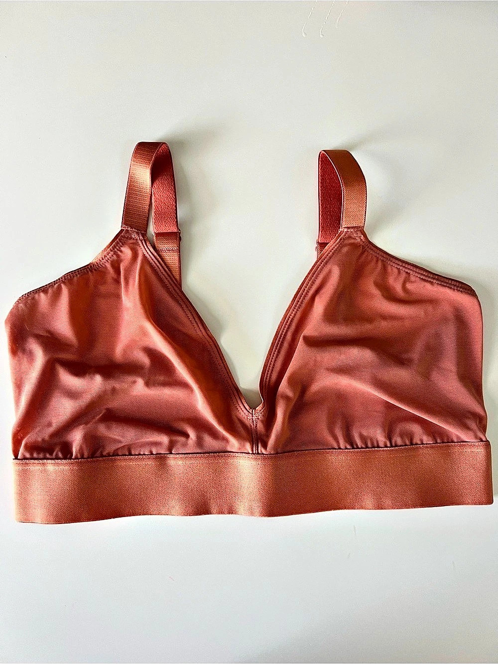 Parade Triangle Bralette | Silky Mesh | NWT